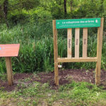 Parcours sensoriel – Xylophone arbres