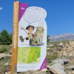 Totem – Sentier Bien Être