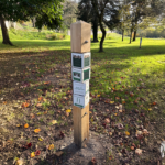 Mobilier interactif – BQRV Arbres