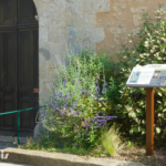 Table de lecture – L&rsquo;Église