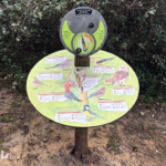 Parcours sensoriel – Son des oiseaux