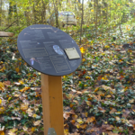 Mobilier interactif – Les noctambules