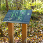 Table de lecture – Bois de la Chapelle