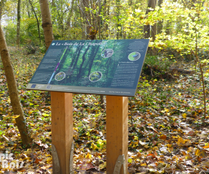 picbois – Table de lecture forêt – 45 – La Chapelle St Martin Signalétique touristique - Table de lecture - Bois de la Chapelle - Fabrication PIC BOIS