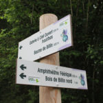 Directionnel sentier – Sentier féérique