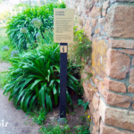 Plaque thématique – Bande à Sidonie