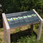 Table de lecture – Plaine de Sorques