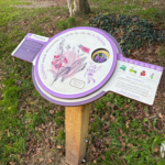 Mobilier interactif – Cycle de la vie