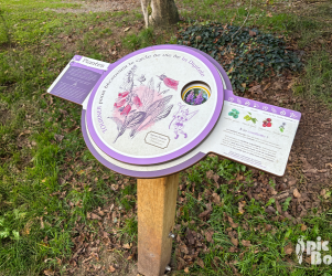 picbois-table de lecture-disque tournant-16-st-germain-de-confolens Signalétique botanique – Table circulaire « Cycle de vie de la digitale » – Fabrication PIC BOIS