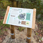 Table de lecture – La Loutre