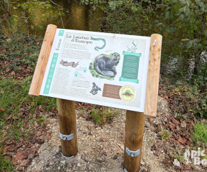 picbois-table de lecture-furca-loutre-16-st-germain-de-confolens Signalétique touristique – Table de lecture « La loutre d’Europe » – Fabrication PIC BOIS
