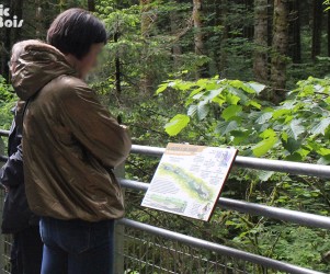 picbois – Table de lecture – La galerie 25-Frasne Signalétique touristique - Table de lecture - La galerie - Fabrication PIC BOIS