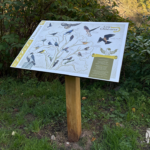 Table de lecture – Illustrations oiseaux