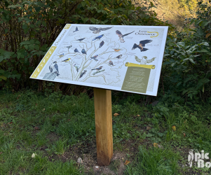 picbois-table de lecture-oiseaux-16-st-germain-de-confolens Signalétique touristique – Table de lecture « Les oiseaux » – Fabrication PIC BOIS