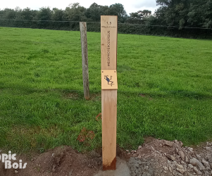 Signalétique touristique - Totem Mésoprotérozoïque 1.5 milliards - Fabrication PIC BOIS