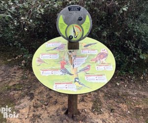 picbois – Pupitre borne sonore – 28 – St Hilaire de Riez Signalétique touristique - Pupitre borne sonore - Fabrication PIC BOIS