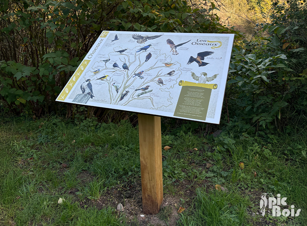 Signalétique touristique – Table de lecture « Les oiseaux » – Fabrication PIC BOIS