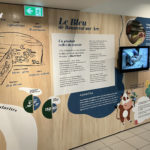 Scénographie et muséographie – Fresque