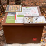 Table de lecture – Boîte à insectes