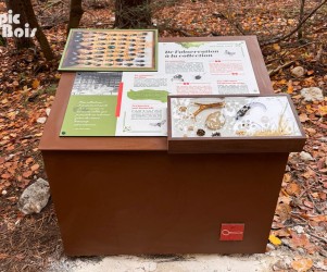 picbois-table-de-lecture-boite-a-insectes-84-mont-serein Signalétique touristique - Table de lecture - Boîte à insectes - Fabrication PIC BOIS