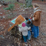 Table de lecture – Peigne sculpté bois