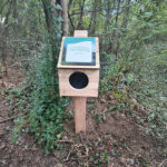Mobilier interactif – Toucher le crapaud