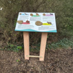 Mobilier interactif – Traces de ragondin