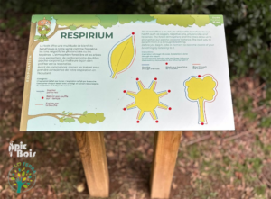 Signalétique touristique - Forestorium - Table de lecture Respirium -Fabrication PIC BOIS