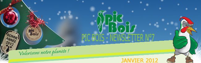 NEWSLETTER PIC BOIS_Janvier 2012