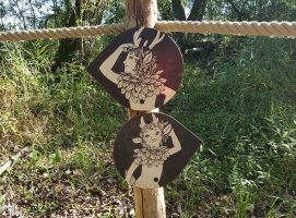 Signalétique touristique | Directionnel piéton - Découpe spéciale - Marais de Droitaumont