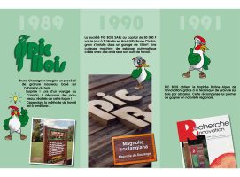 Historique Pic Bois 1989-1991