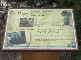 Signalétique touristique - Plaque arboretum - Lave émaillée - Fabrication PIC BOIS