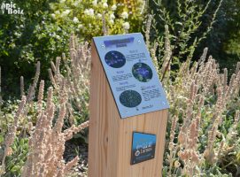 Signalétique touristique | Plaque arboretum - La petite Pervenche - Satolas Parc des Lurons (38)