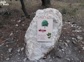 Signalétique touristique | Plaque arboretum - Sentier botanique du Rougadou (13)