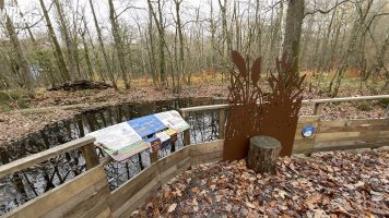 Signalétique touristique - Borne questions-réponses parcours pédagogique naturel - Fabricant PIC BOIS