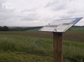 PIC BOIS - Table de lecture CC de Sarrebourg-Moselle Sud (57)