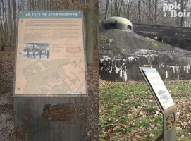 PIC BOIS - Tables de lecture en corten avec découpe traversante - Fort de Shoenenbourg (67)