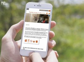 pic-bois-responsive-design pic-bois-responsive-design