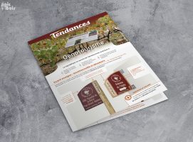 Vignette - Tendances Œnotourisme