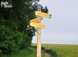 Signalétique touristique - Directionnel sentier - Chemin de rando - Fabrication PIC BOIS