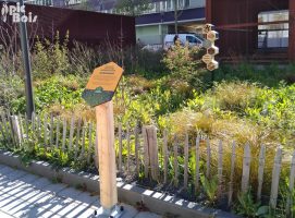 Signalétique touristique - Gamme biodiversité - Plaque thématique - Fabrication PIC BOIS