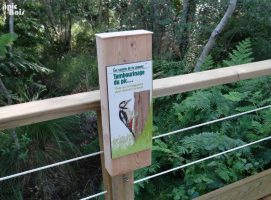 Totem Balade sensorielle – Lagune Contaut Hourtin (33) PIC BOIS - Totem Balade sensorielle - Lagune Contaut Hourtin (33)