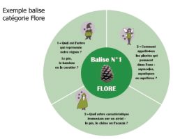 PIC BOIS - Exemple de balise catégorie Flore