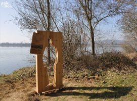 Silhouette – Lac de Madine (55) PIC BOIS - Silhouette - Lac de Madine (55)