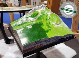 PIC BOIS - Maquette 3D en relief -Moutain Planet 2016