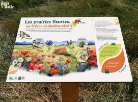 picbois-panneau-pedagogique-nature-prairie-fleurie picbois-panneau-pedagogique-nature-prairie-fleurie