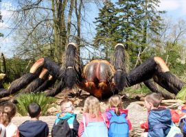 Araignée – Parc de Thoiry (78) PIC BOIS - Araignée - Parc de Thoiry (78)
