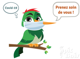 Pic vert masqué PIC BOIS - Pic vert masqué
