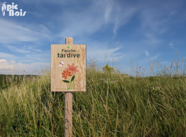 picbois-plaque-thematique-fauceh-tardive-gestion-des-espaces-verts