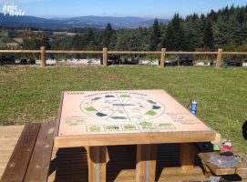 Table de jeu pour sensibiliser sur la préservation de l’environnement PIC BOIS - Table de jeu - préservation de l'environnement